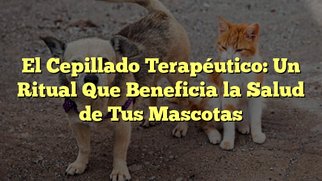 El Cepillado Terapéutico: Un Ritual Que Beneficia la Salud de Tus Mascotas