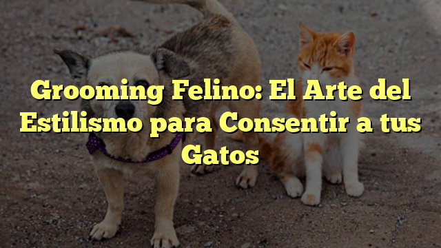 Grooming Felino: El Arte del Estilismo para Consentir a tus Gatos