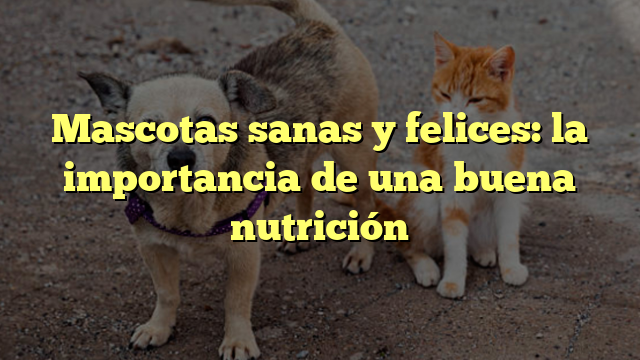 Mascotas sanas y felices: la importancia de una buena nutrición