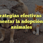 5 estrategias efectivas para fomentar la adopción de animales