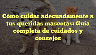 Cómo cuidar adecuadamente a tus queridas mascotas: Guía completa de cuidados y consejos