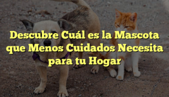 Descubre Cuál es la Mascota que Menos Cuidados Necesita para tu Hogar