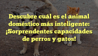 Descubre cuál es el animal doméstico más inteligente: ¡Sorprendentes capacidades de perros y gatos!
