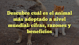 Descubre cuál es el animal más adoptado a nivel mundial: cifras, razones y beneficios
