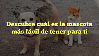 Descubre cuál es la mascota más fácil de tener para ti