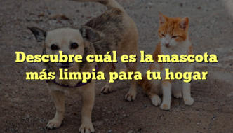 Descubre cuál es la mascota más limpia para tu hogar