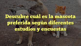 Descubre cuál es la mascota preferida según diferentes estudios y encuestas