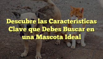Descubre las Características Clave que Debes Buscar en una Mascota Ideal