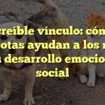 El increíble vínculo: cómo las mascotas ayudan a los niños en su desarrollo emocional y social