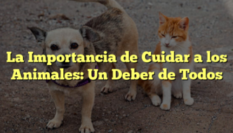 La Importancia de Cuidar a los Animales: Un Deber de Todos