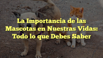 La Importancia de las Mascotas en Nuestras Vidas: Todo lo que Debes Saber