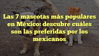 Las 7 mascotas más populares en México: descubre cuáles son las preferidas por los mexicanos
