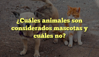 ¿Cuáles animales son considerados mascotas y cuáles no?