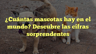 ¿Cuántas mascotas hay en el mundo? Descubre las cifras sorprendentes
