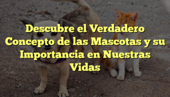 Descubre el Verdadero Concepto de las Mascotas y su Importancia en Nuestras Vidas