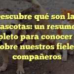 Descubre qué son las mascotas: un resumen completo para conocer todo sobre nuestros fieles compañeros