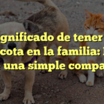 El significado de tener una mascota en la familia: Más que una simple compañía