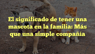 El significado de tener una mascota en la familia: Más que una simple compañía
