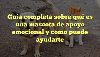 Guía completa sobre qué es una mascota de apoyo emocional y cómo puede ayudarte