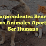 Los Sorprendentes Beneficios que los Animales Aportan al Ser Humano