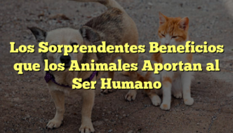 Los Sorprendentes Beneficios que los Animales Aportan al Ser Humano