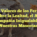 Los Valores de los Perros: Descubre la Lealtad, el Amor y la Compañía Inigualables de Nuestras Mascotas