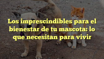 Los imprescindibles para el bienestar de tu mascota: lo que necesitan para vivir