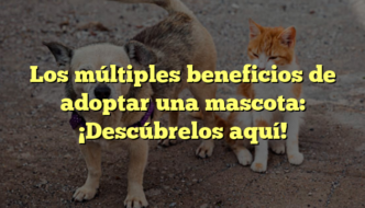 Los múltiples beneficios de adoptar una mascota: ¡Descúbrelos aquí!