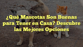 ¿Qué Mascotas Son Buenas para Tener en Casa? Descubre las Mejores Opciones