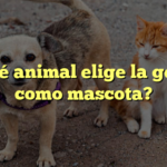 ¿Qué animal elige la gente como mascota?