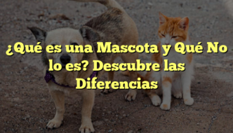 ¿Qué es una Mascota y Qué No lo es? Descubre las Diferencias