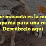 ¿Qué mascota es la mejor compañía para una niña? Descúbrelo aquí