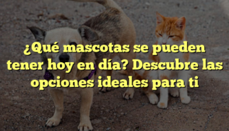 ¿Qué mascotas se pueden tener hoy en día? Descubre las opciones ideales para ti