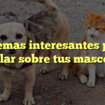 10 temas interesantes para hablar sobre tus mascotas