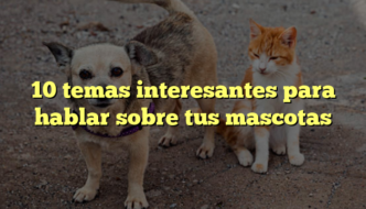 10 temas interesantes para hablar sobre tus mascotas