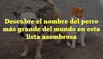 Descubre el nombre del perro más grande del mundo en esta lista asombrosa