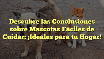 Descubre las Conclusiones sobre Mascotas Fáciles de Cuidar: ¡Ideales para tu Hogar!