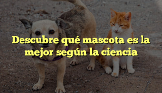 Descubre qué mascota es la mejor según la ciencia