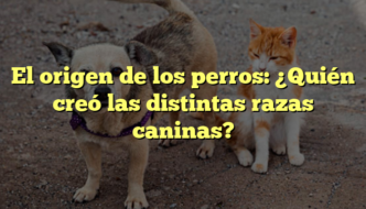 El origen de los perros: ¿Quién creó las distintas razas caninas?