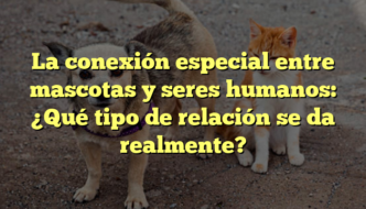 La conexión especial entre mascotas y seres humanos: ¿Qué tipo de relación se da realmente?