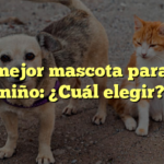 La mejor mascota para un niño: ¿Cuál elegir?