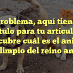 Sin problema, aquí tienes un título para tu artículo: Descubre cuál es el animal más limpio del reino animal