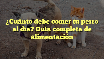 ¿Cuánto debe comer tu perro al día? Guía completa de alimentación