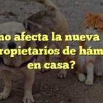 ¿Cómo afecta la nueva ley a los propietarios de hámsters en casa?