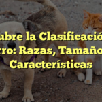 Descubre la Clasificación del Perro: Razas, Tamaños y Características