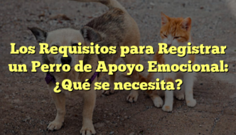 Los Requisitos para Registrar un Perro de Apoyo Emocional: ¿Qué se necesita?