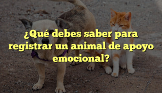 ¿Qué debes saber para registrar un animal de apoyo emocional?