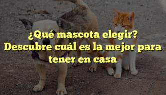 ¿Qué mascota elegir? Descubre cuál es la mejor para tener en casa