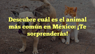 Descubre cuál es el animal más común en México: ¡Te sorprenderás!