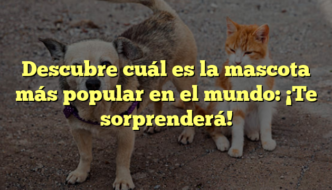 Descubre cuál es la mascota más popular en el mundo: ¡Te sorprenderá!